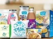 Breakfast & Dairy
